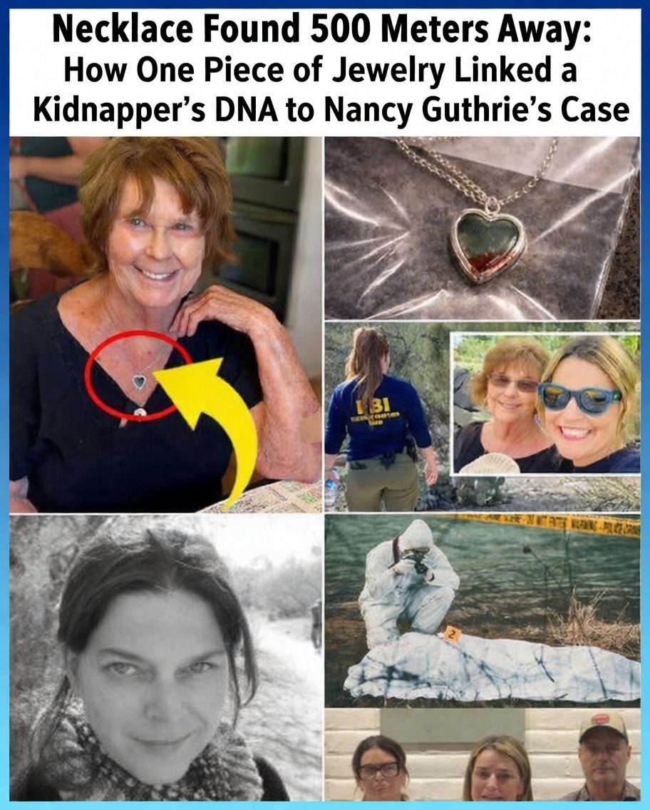 Necklace Found 500 Meters Away: How One Piece of Jewelry Linked a Kidnapper’s DNA to Nancy Guthrie’s Case