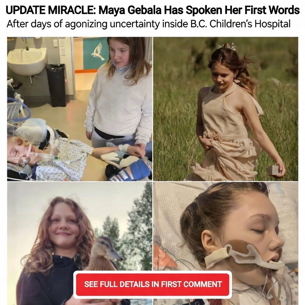 Maya Gebala Update: Tumbler Ridge Shooting Survivor