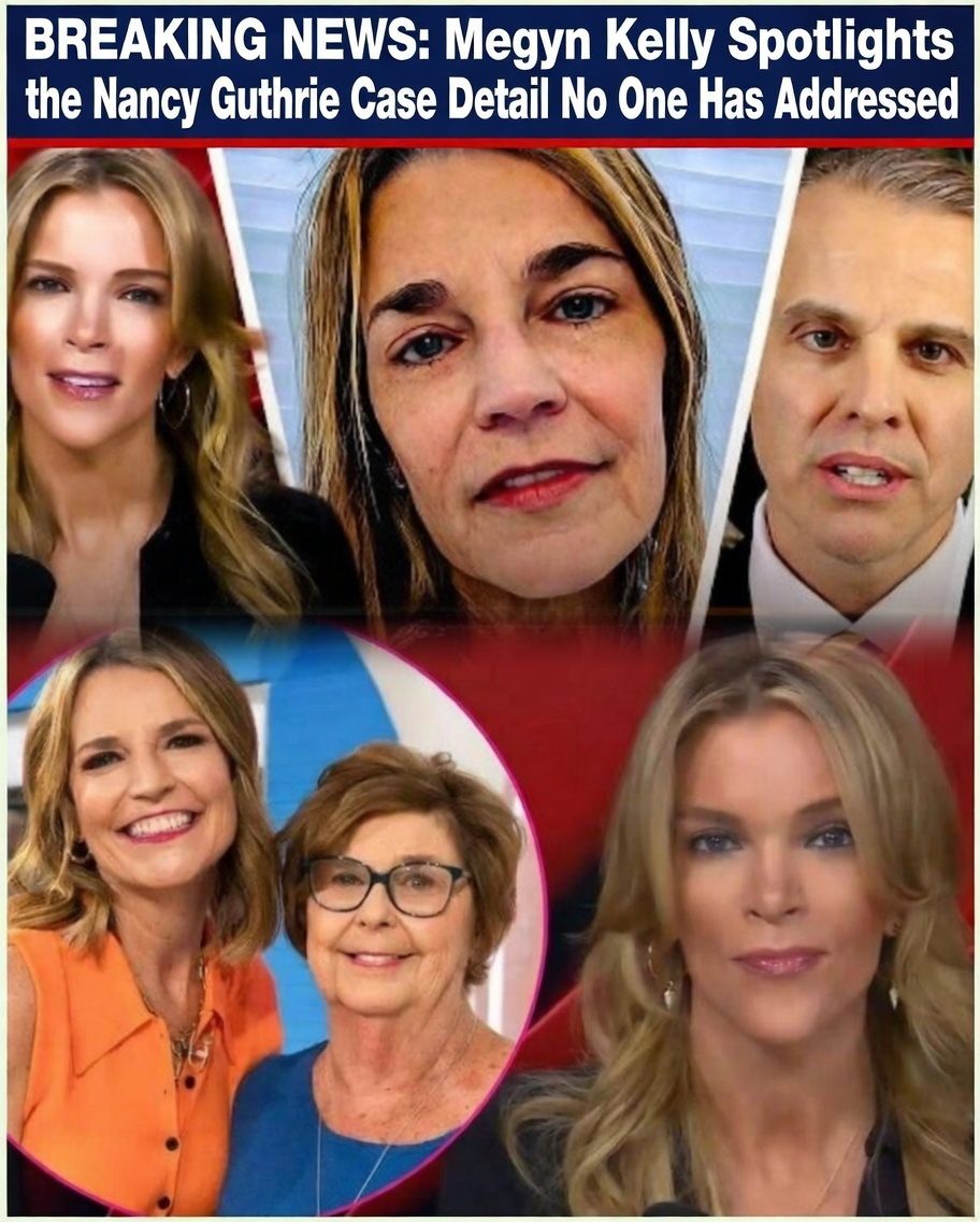 Megyn Kelly Spotlights the Nancy Guthrie Case Detail No One Has Addressed