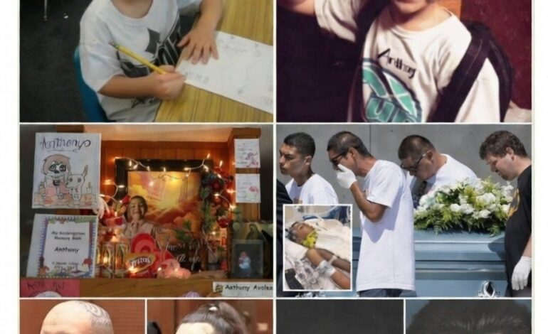 He Wrote His Teacher a Letter. Two Weeks Later, He Was Gone.