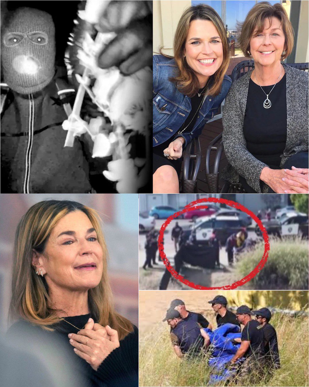 She Tried to Stay Strong Then Broke Down Live — What Savannah Guthrie Just Heard Left Viewers Stunned