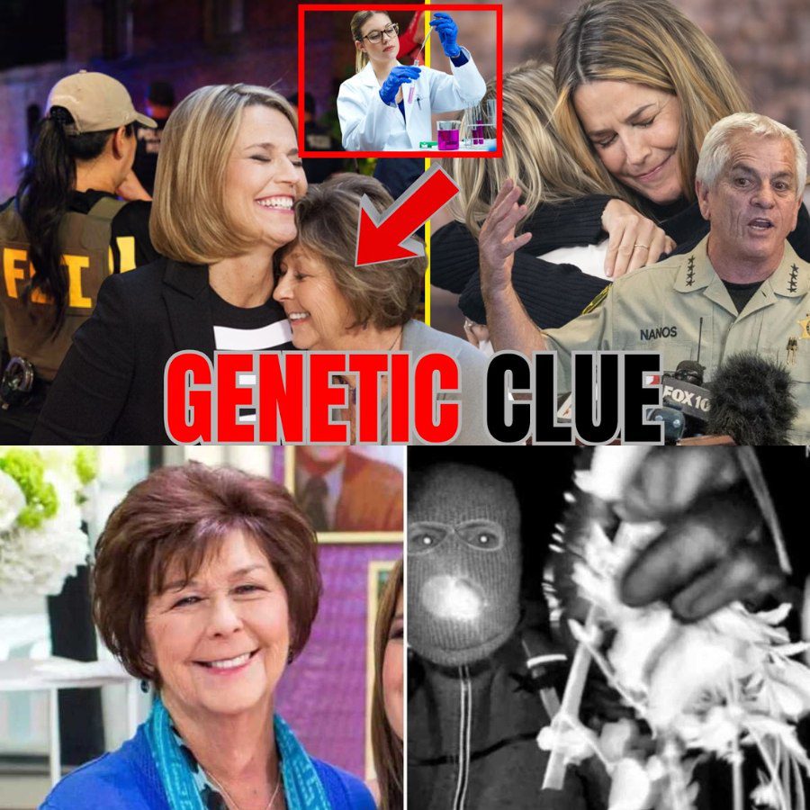 12 Images. 5 Videos. Then Silence Broke What They Just Found in Savannah Guthrie’s Mother Case Has Everyone Stunned