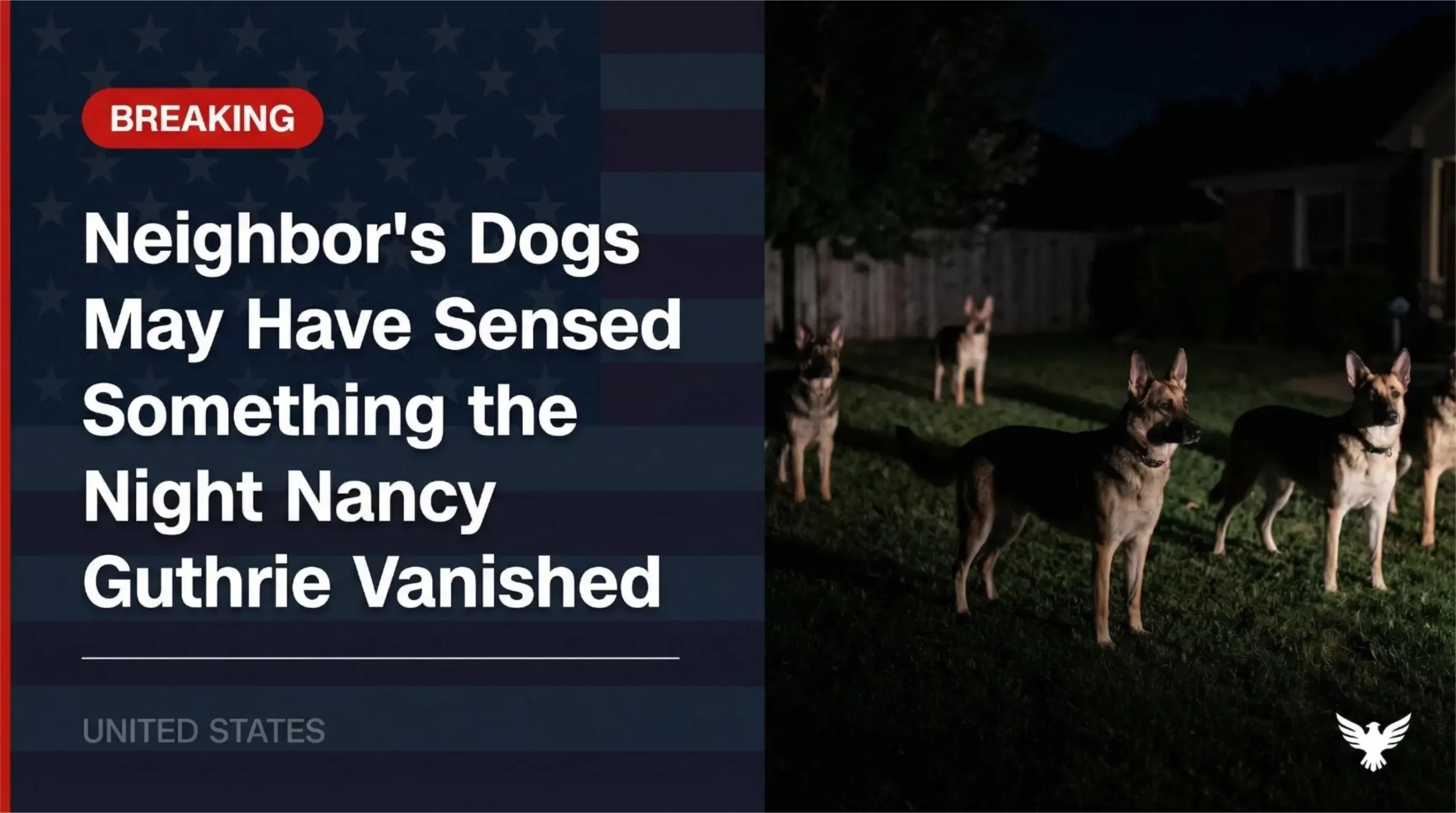 “They Don’t Usually Act Like That”: Neighbor’s Dogs May Have Sensed Something the Night Nancy Guthrie Vanished