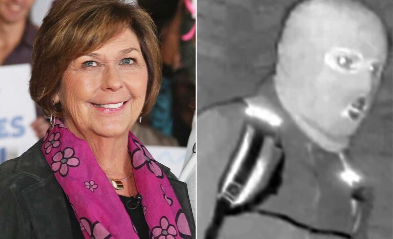 Four Hours, One Shadow, Then a Sudden Failure at 2:28 AM—What Happened to Nancy Guthrie?