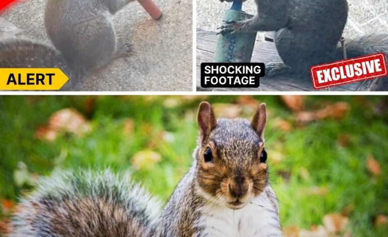 Squirrels Mistake Fruity Vapes for Snacks — What Happens Next Is Wild