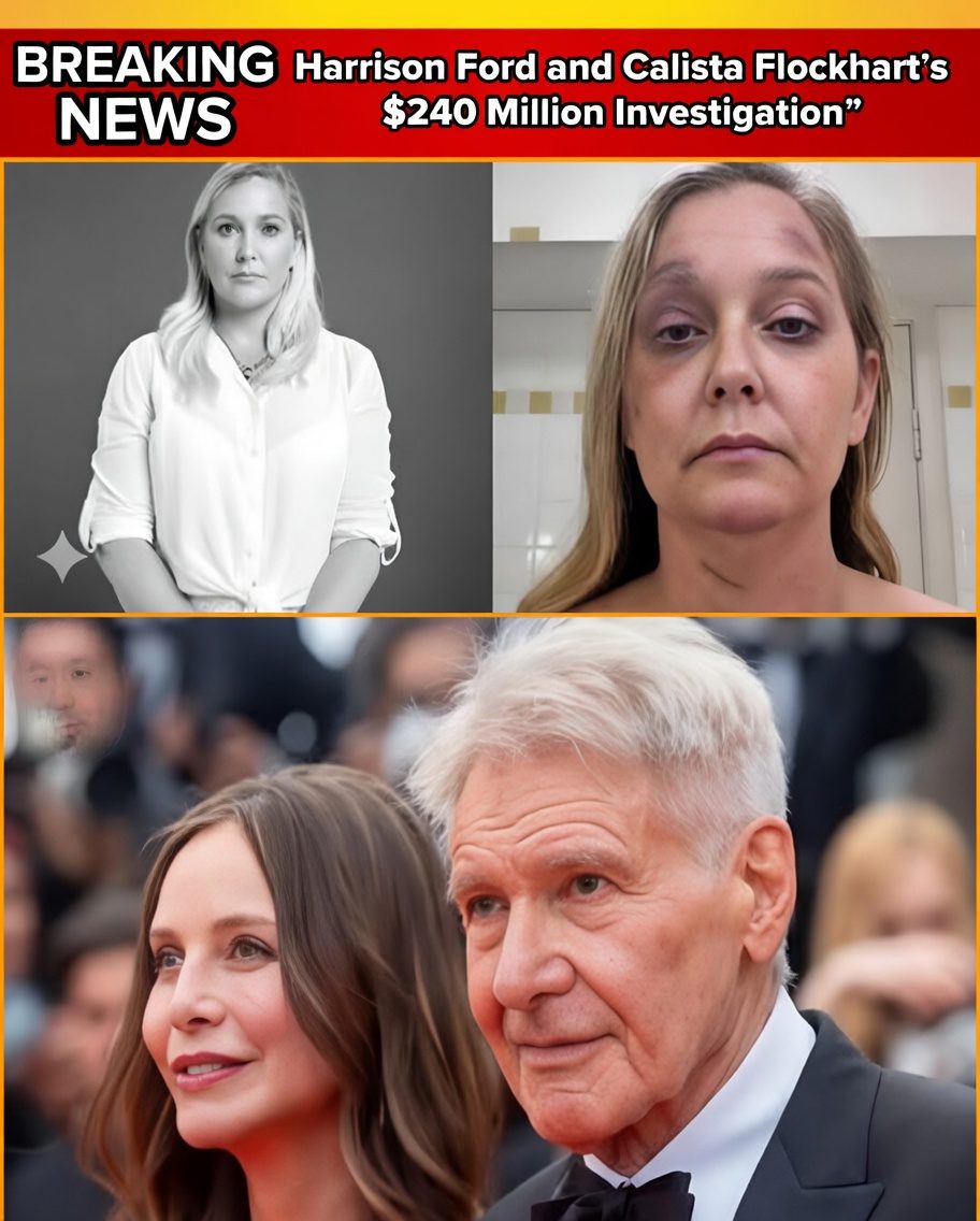 Harrison Ford and Calista Flockhart’s ‘$240 Million Investigation’
