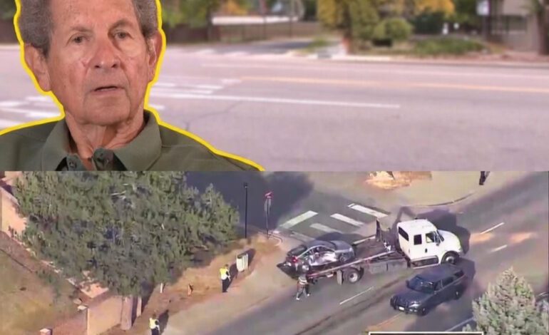 A HEARTBREAKING TWIST: Gerry Goldberg Fought Two Years for a Traffic Light Where His Wife Died. Then He Died There Too.