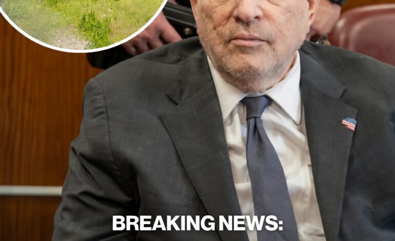 Harvey Weinstein Punched at Rikers? Mogul Claims Jail Life is a “Living Hell”