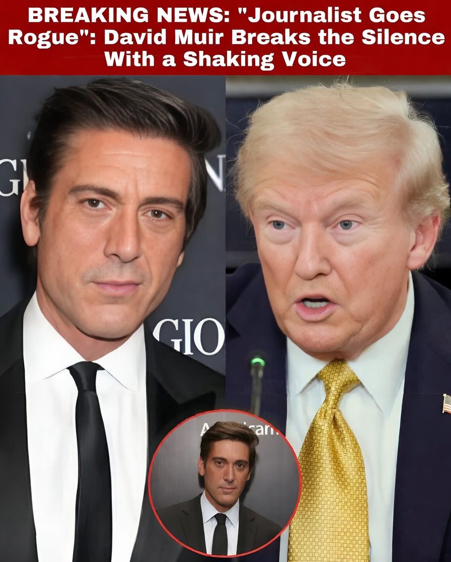 “Journalist Goes Rogue”: David Muir Breaks the Silence With a Shaking Voice