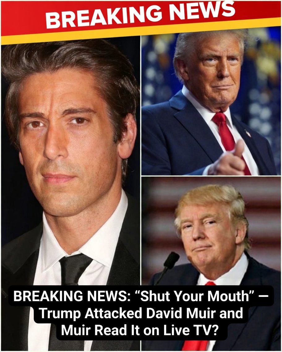 “Shut Your Mouth” — Trump Attacked David Muir and Muir Read It on Live TV: Did This Happen?