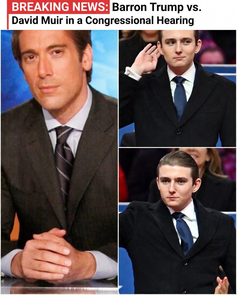 Barron Trump vs. David Muir in a Congressional Hearing — Fact-Check: Did This Really Happen?