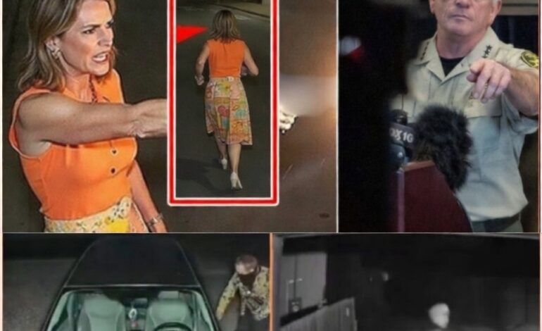 3:30 A.M. Sentry Mode Footage: The Hero Unmasked?