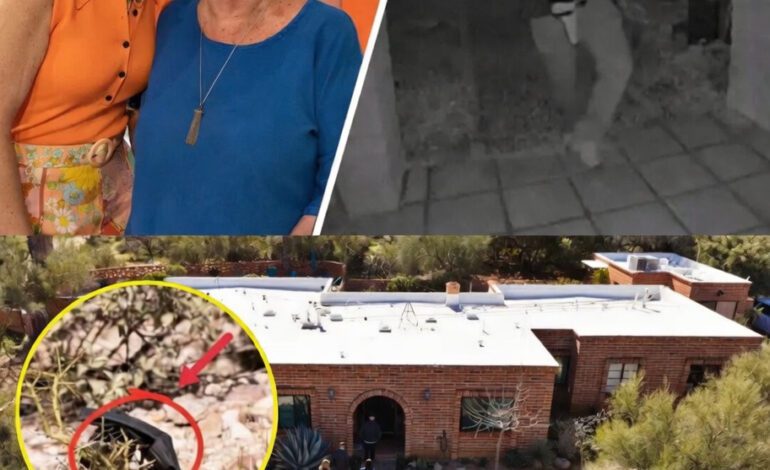 The Mysterious Disappearance of Nancy Guthrie