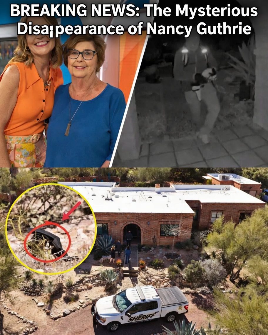 The Mysterious Disappearance of Nancy Guthrie