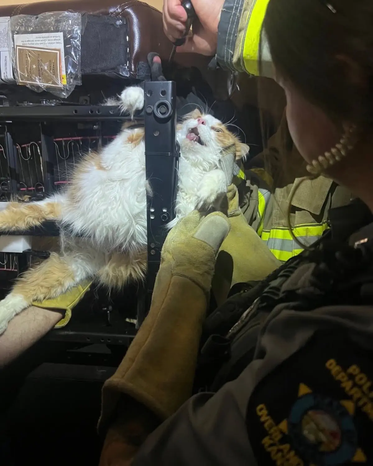 This Chubby Cat Tried to Hide From the Vet… But Ended Up Stuck Inside a Recliner What Firefighters Found Will Make You Laugh